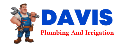 Trusted plumber in ARTESIAN